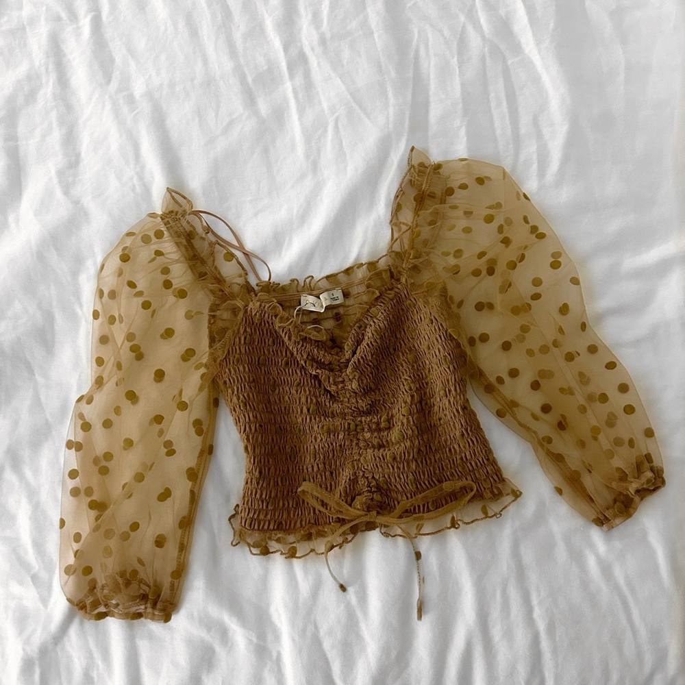 Elegant Brown Sheer Sleeve Top
